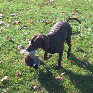 Meet your Posher, Daniel